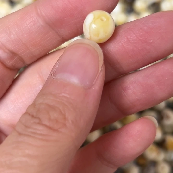 蜜蜡未镶嵌裸石9.1mm一个