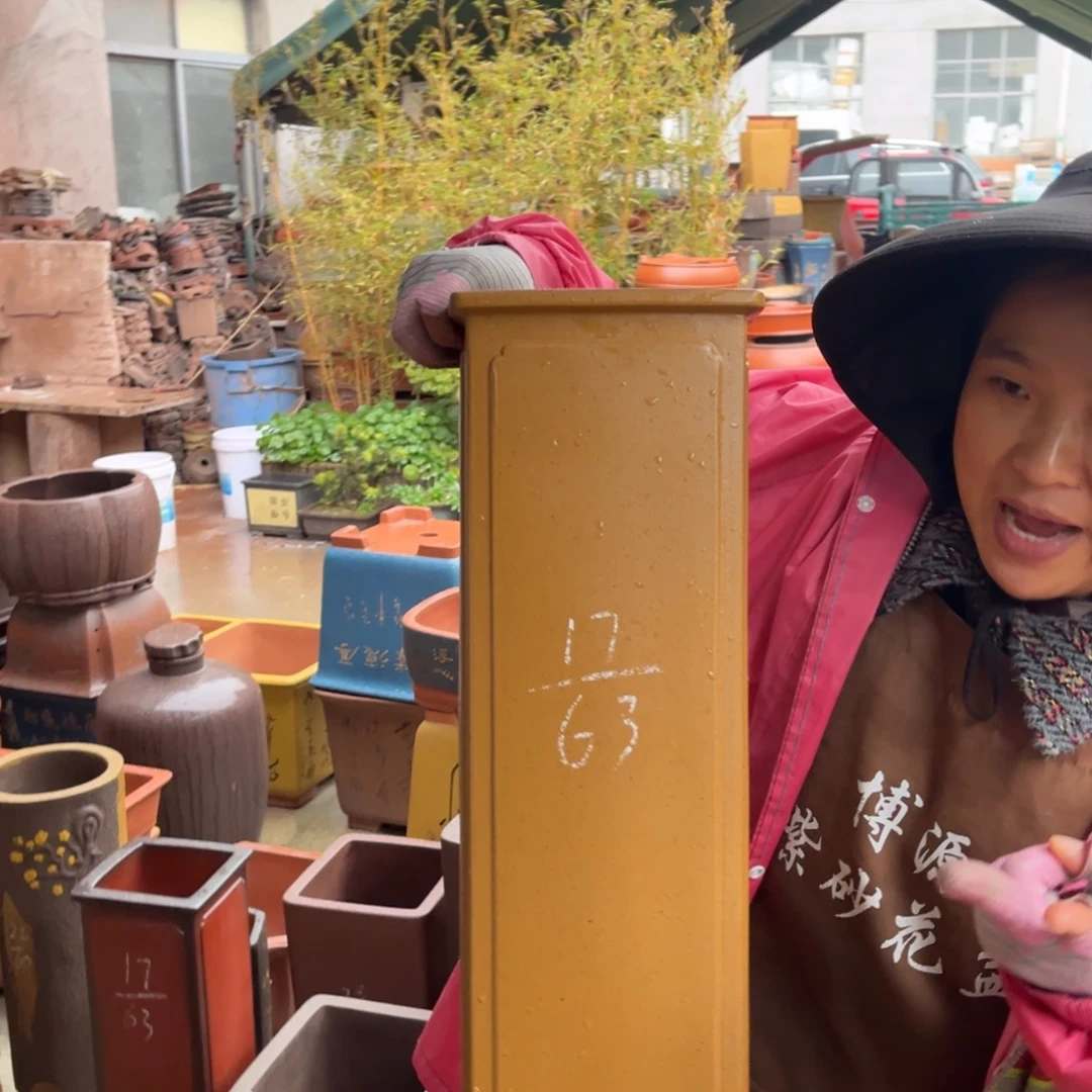 紫砂花盆盆景艺术