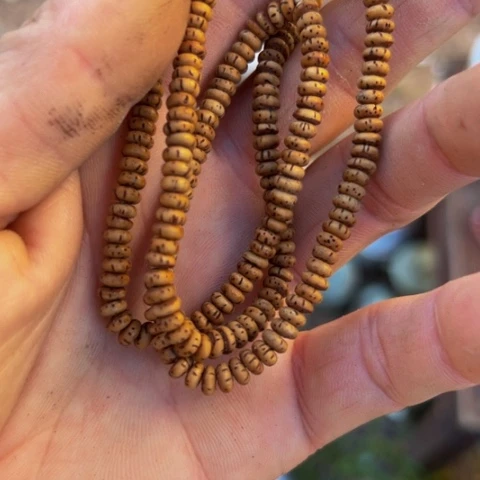 七***安核桃木/黑胡桃（胡桃木）