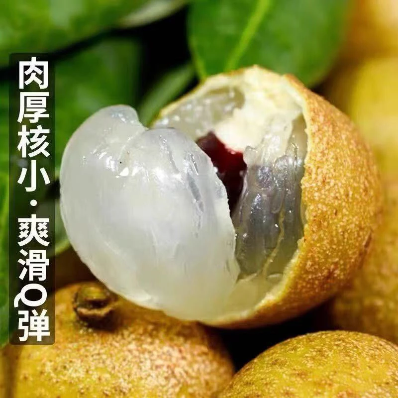 【顺丰冷链】广西灵山石硖龙眼新鲜正宗石硖龙眼当季新鲜龙眼