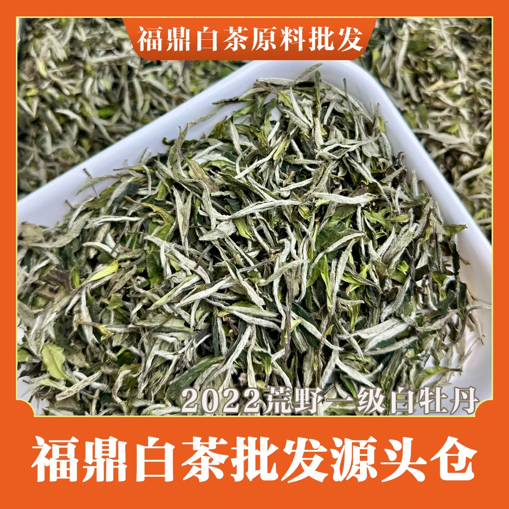 2022荒野一级白牡丹【日晒牡丹】高山雪后老树牡丹 白茶原料直发