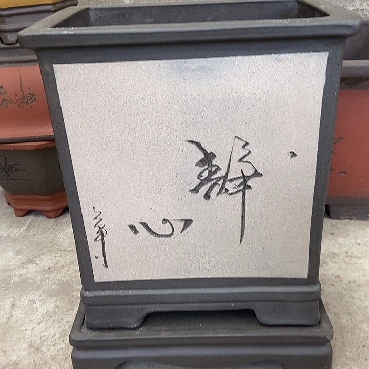 28花盆花盆花盆花盆花盆花盆