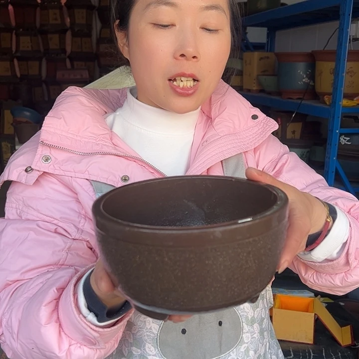 花盆花盆花盆花盆花盆花盆花盆