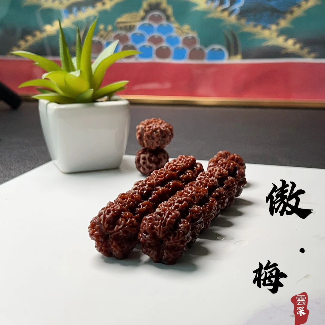 古龙·傲梅尼泊尔大金刚