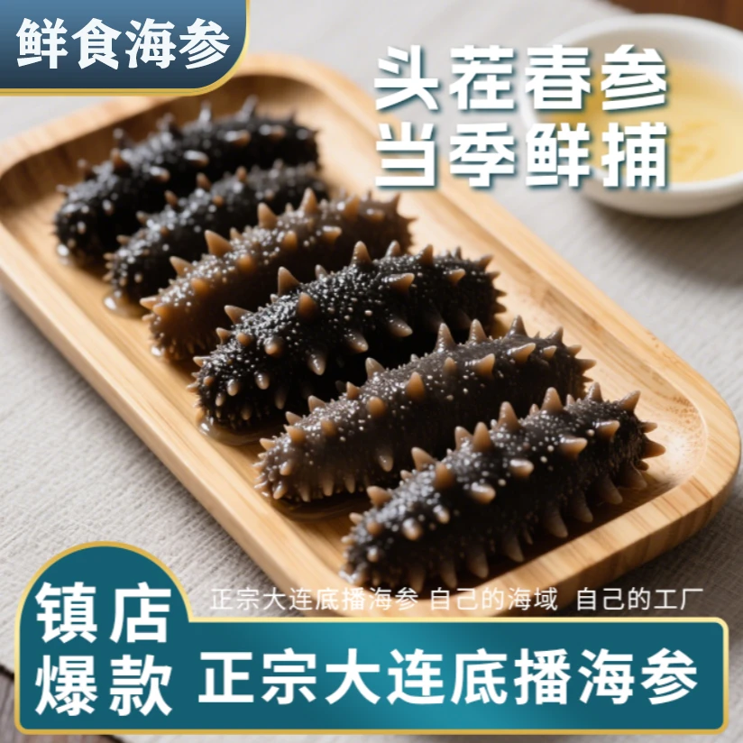 【升级大参王】鲜食海参7-9头/斤大连海参开袋即食