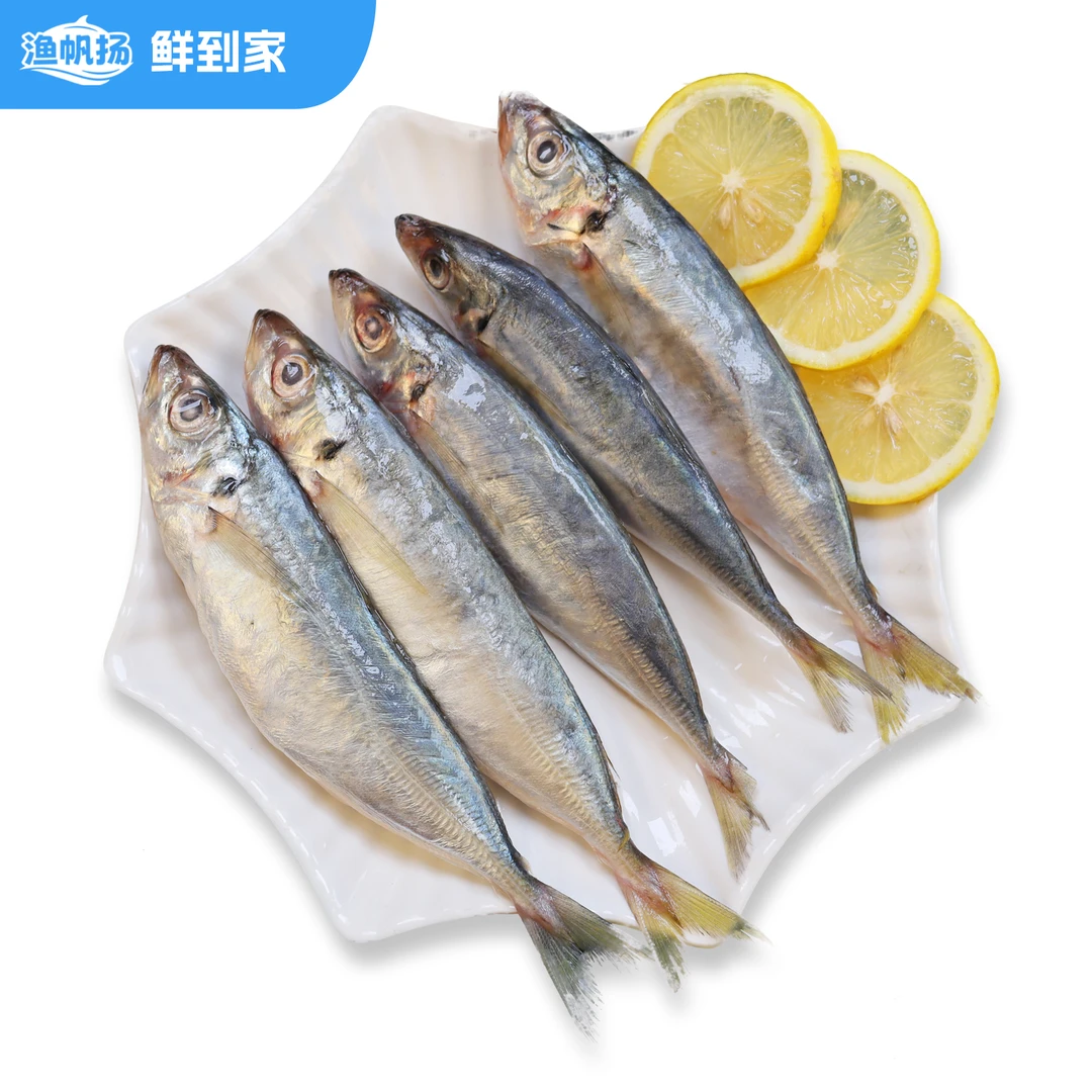 北部湾 巴浪鱼500g/袋5斤（4-6条/袋）码头代采 真空包装