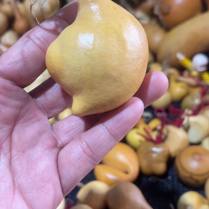 o***宝葫芦葫哈哈哈哈哈哈