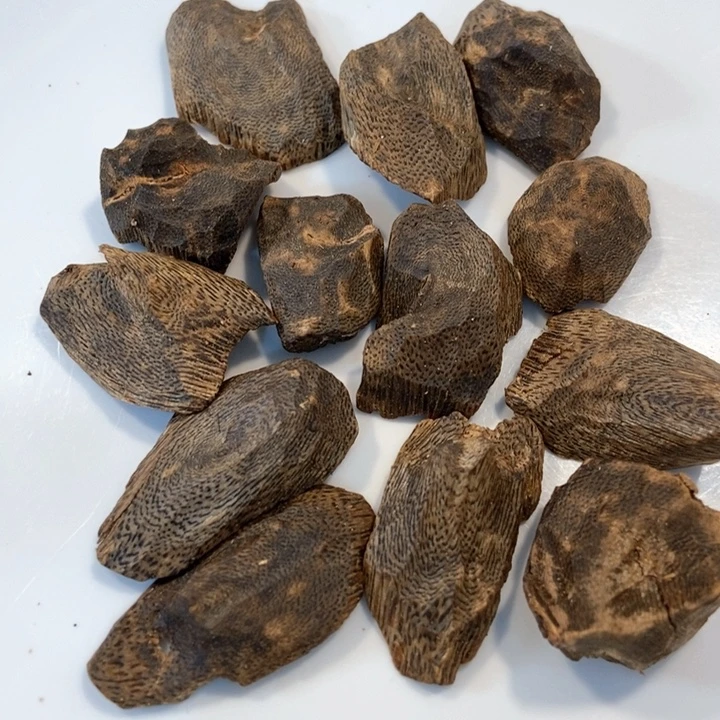 沉香碎屑沉香奇楠留疤丁20克多样性发一