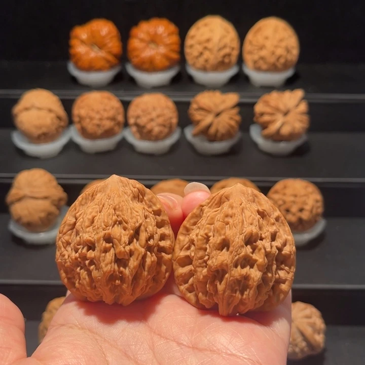 全品，精品，40麦穗虎头211