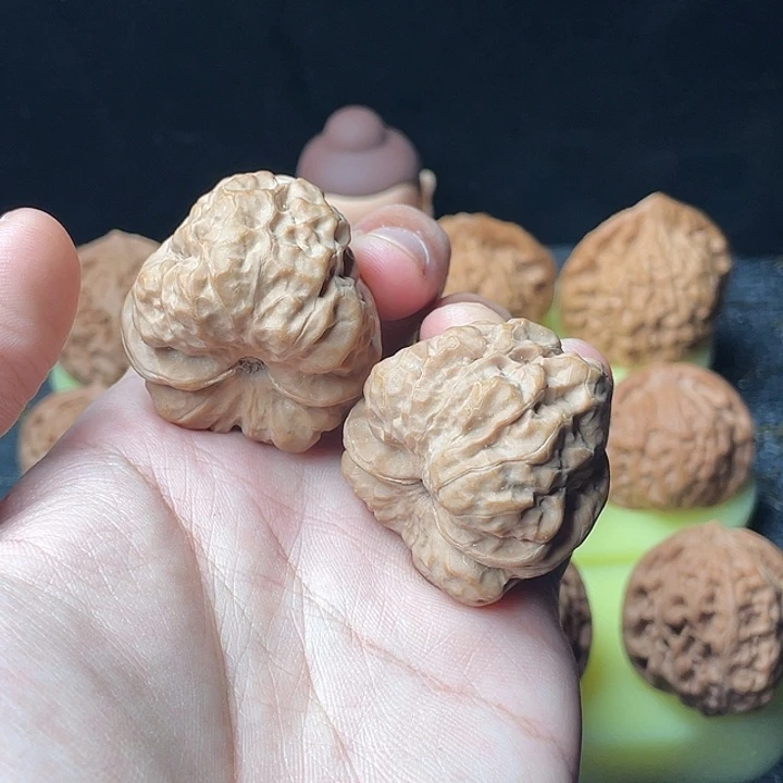 38尺蛤蟆头精配对