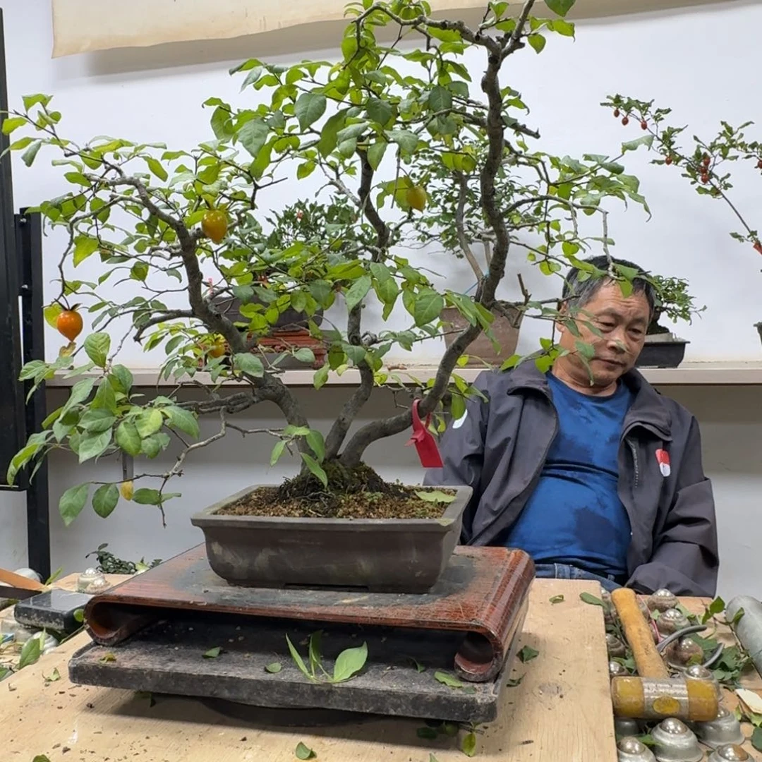 昌***稼无花朵486顺丰到付