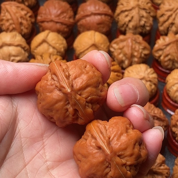 文玩核桃吊坠金刚鹦鹉