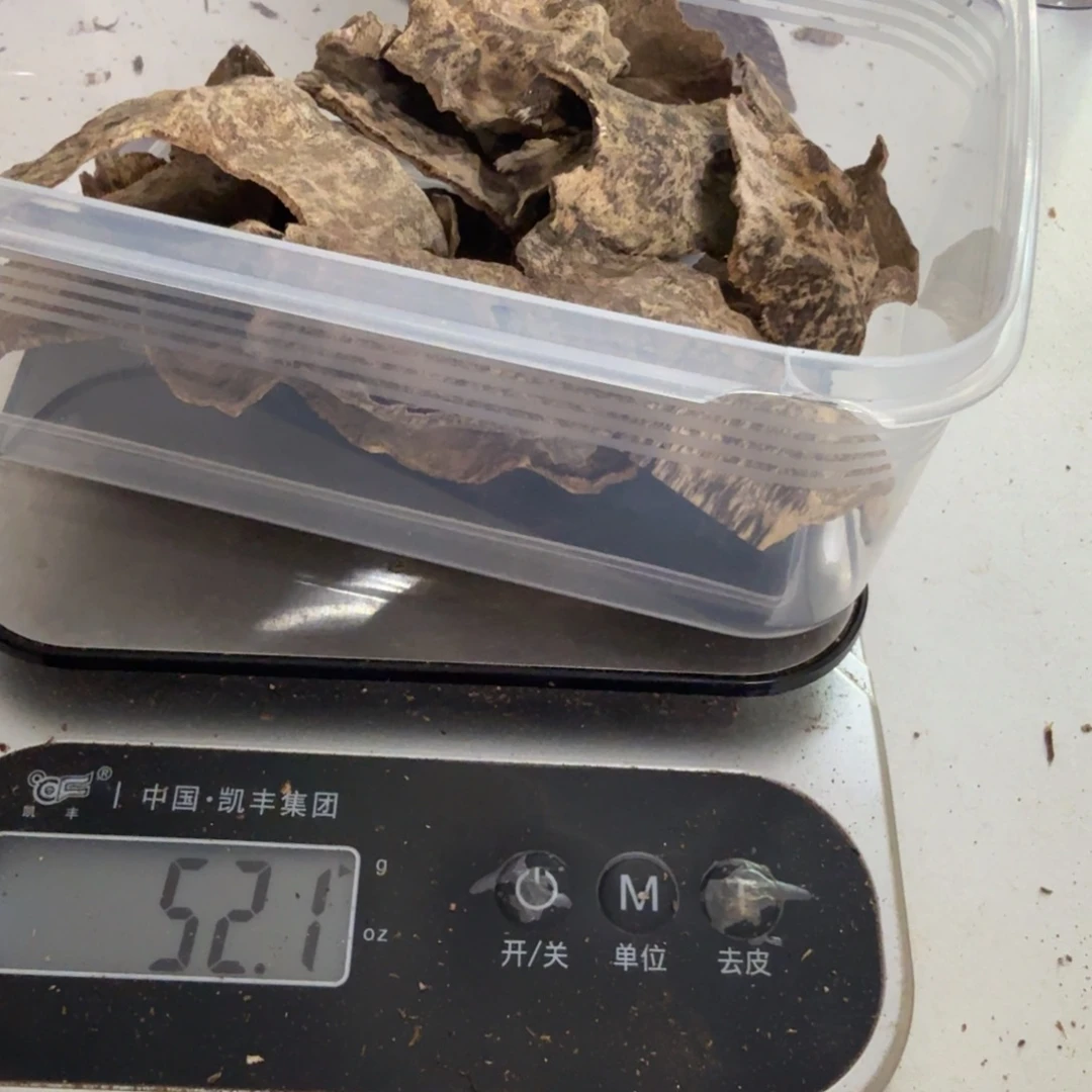 束***光沉香沉香碎屑芽庄老料52克
