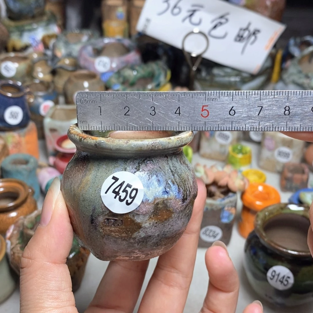 拍5送一个小礼物