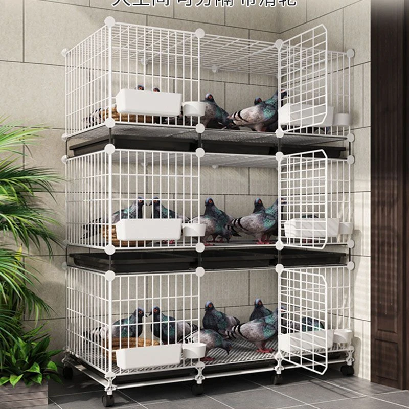 鸽子笼家用特大号养鸽子专用笼巢箱新型养殖柯尔鸭配对笼鸽舍鸽笼