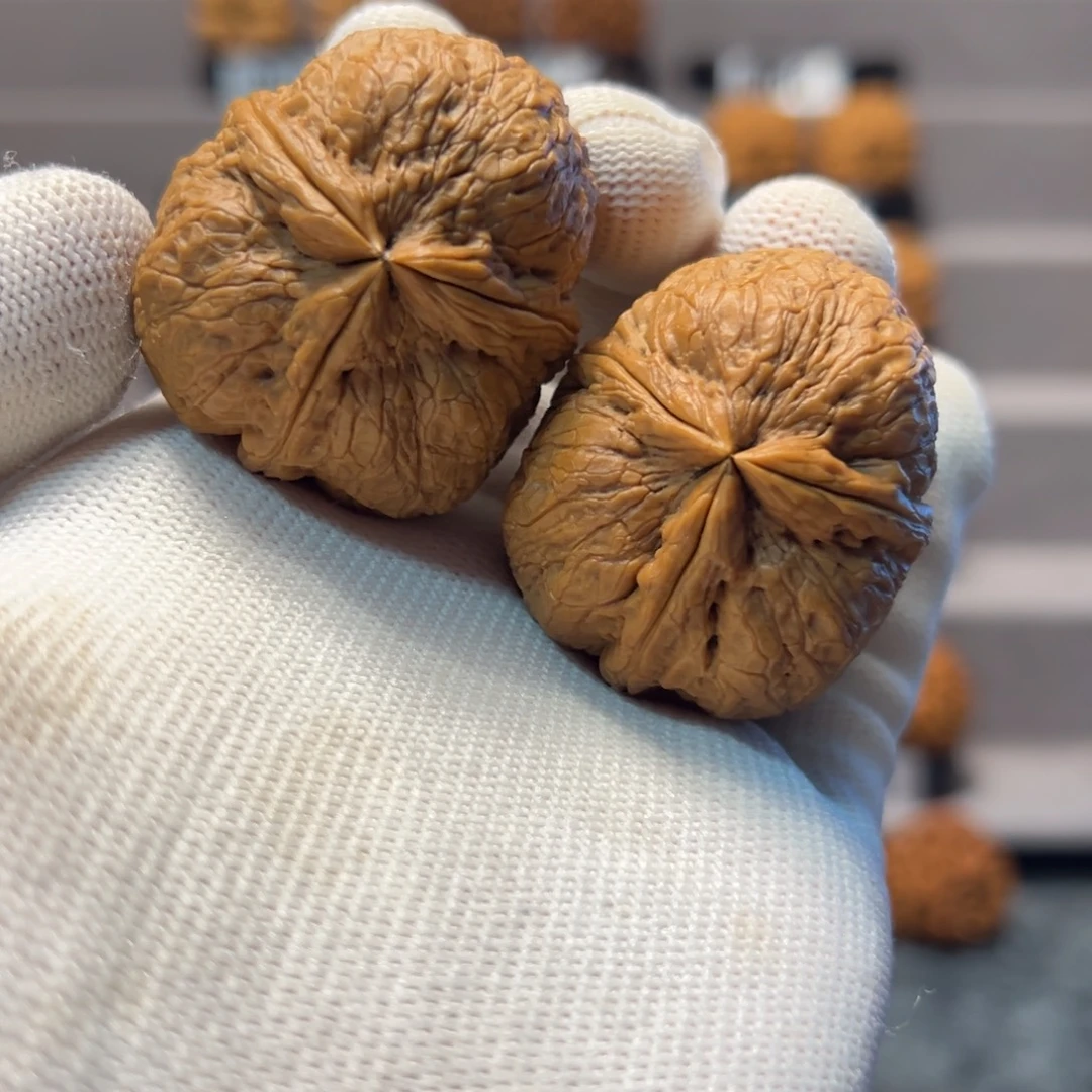 滩***锅文玩核桃把件41mm粗筋碧玺三棱61克