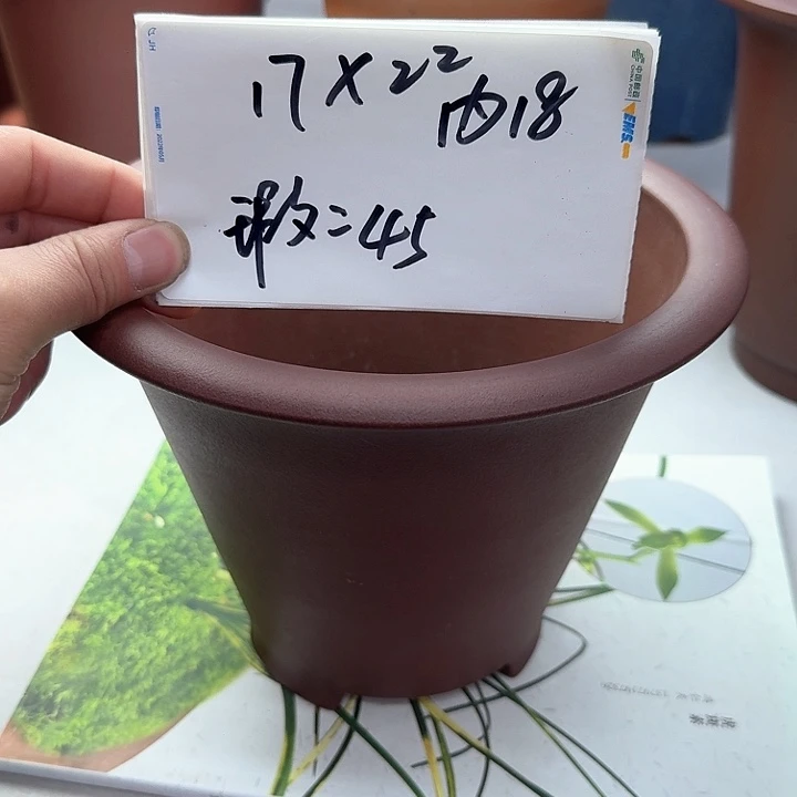 紫砂2222222222222222