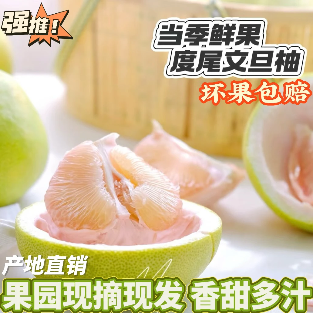 【精品无孔果】正宗福建仙游度尾文旦柚新鲜多汁当季现摘时令水果