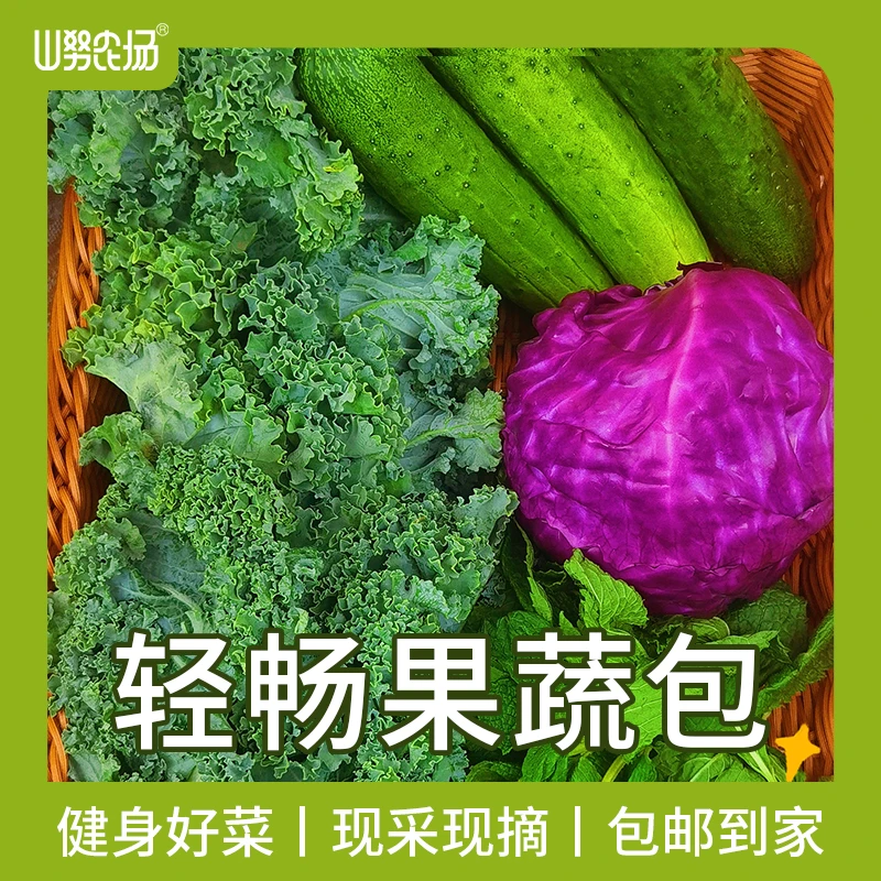 【顺丰冷运】山努轻畅果蔬组合包轻食健康套餐含羽衣甘蓝紫甘蓝黄瓜