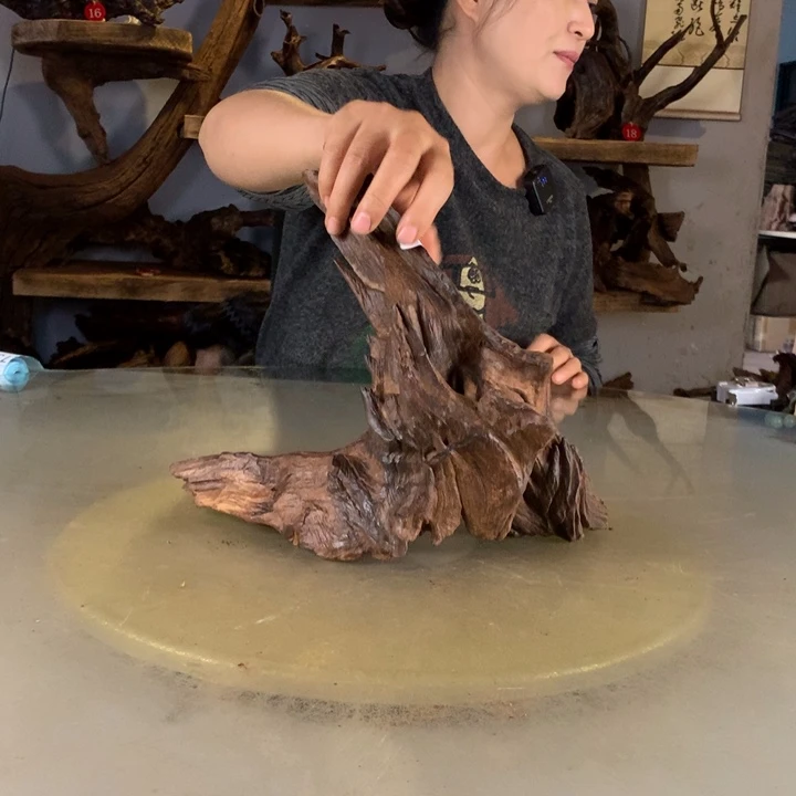 不***菜天然的云南的柚木会黄水