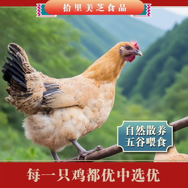 拾里美芝湖北荆门特产风干鸡味美风干鸡十里铺腊香鸡B