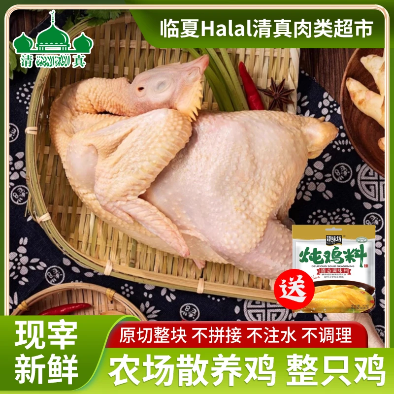 临夏清真农家散养三黄鸡生鲜整只装鸡肉新鲜安全现宰临夏美食