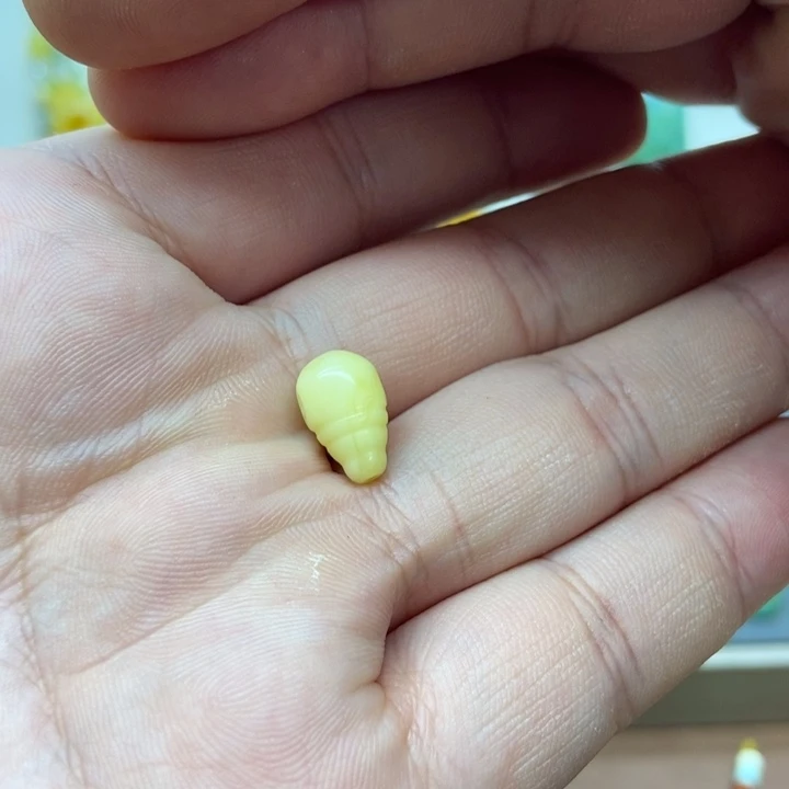 裸石琥珀未镶嵌配饰