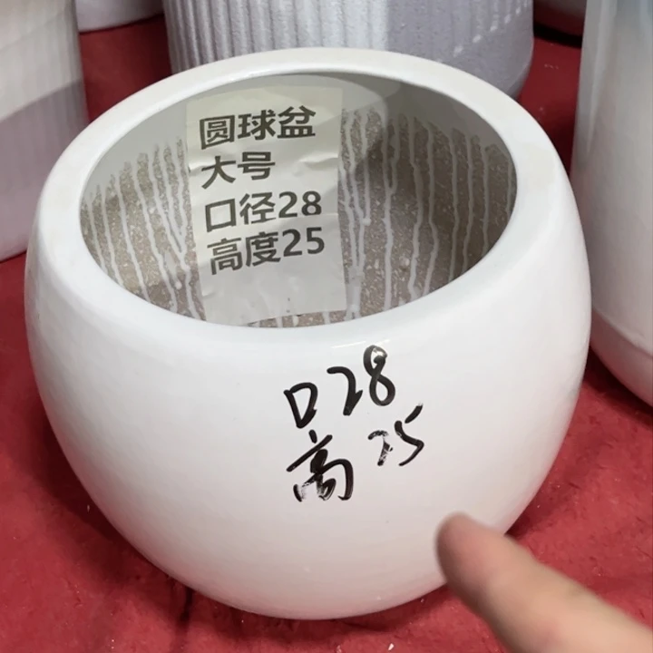 圆球口径28高度25白色正常品