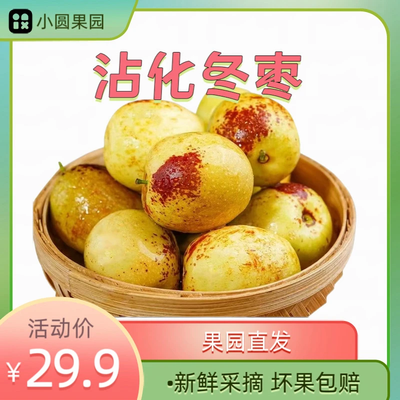正宗沾化冬枣新鲜采摘脆甜多汁当季正宗水果