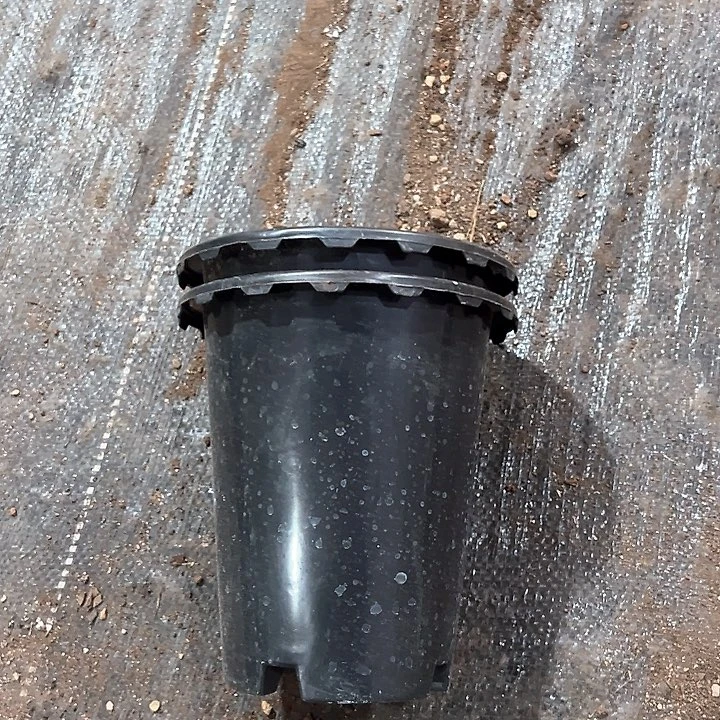 塑料口径14.5 高度16 花边韩盆一组10个