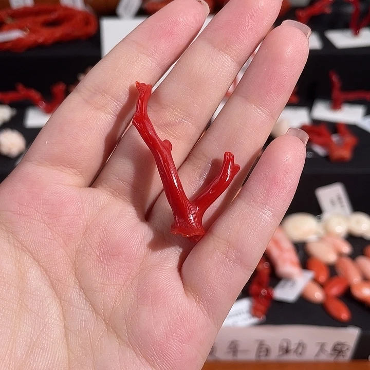 Sd 原枝DIY胸针摆件吊坠