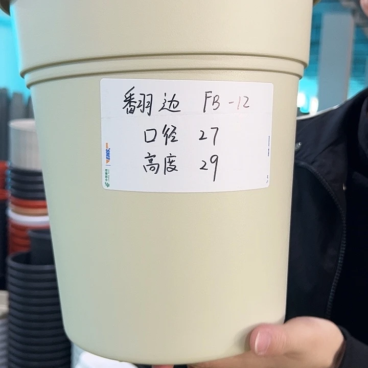 特价翻边口27高29米色无托5只
