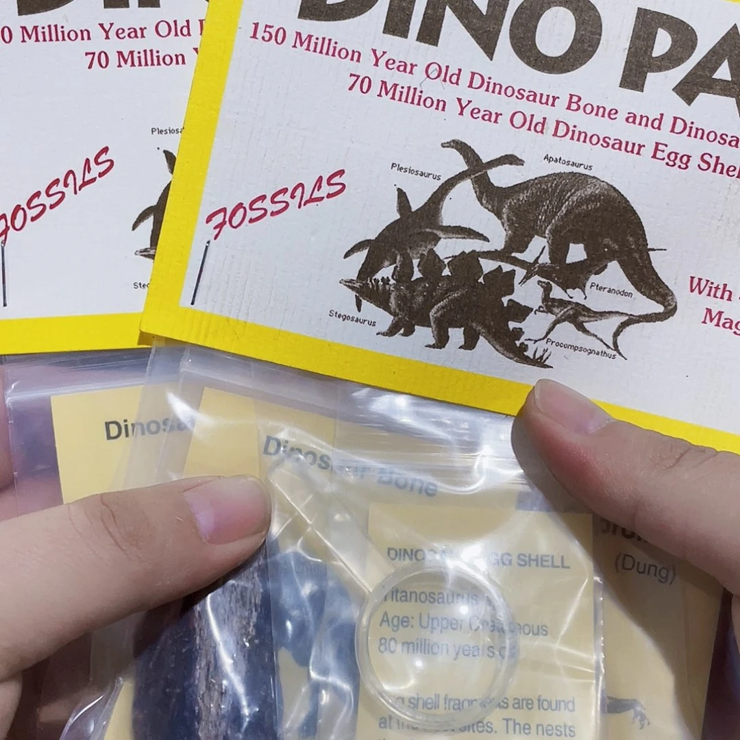 两套骨骼粪便蛋皮科普标本