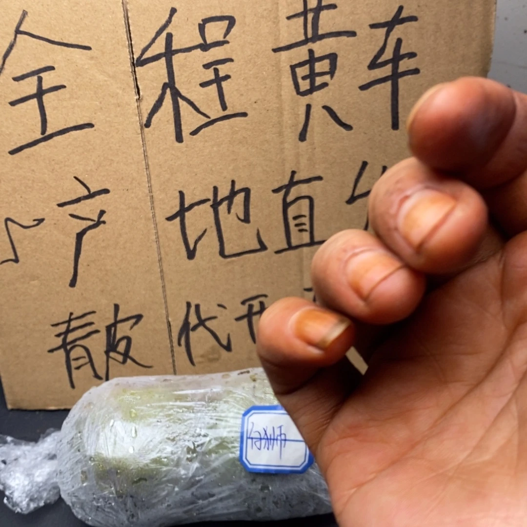 zwf产地直发白狮子9