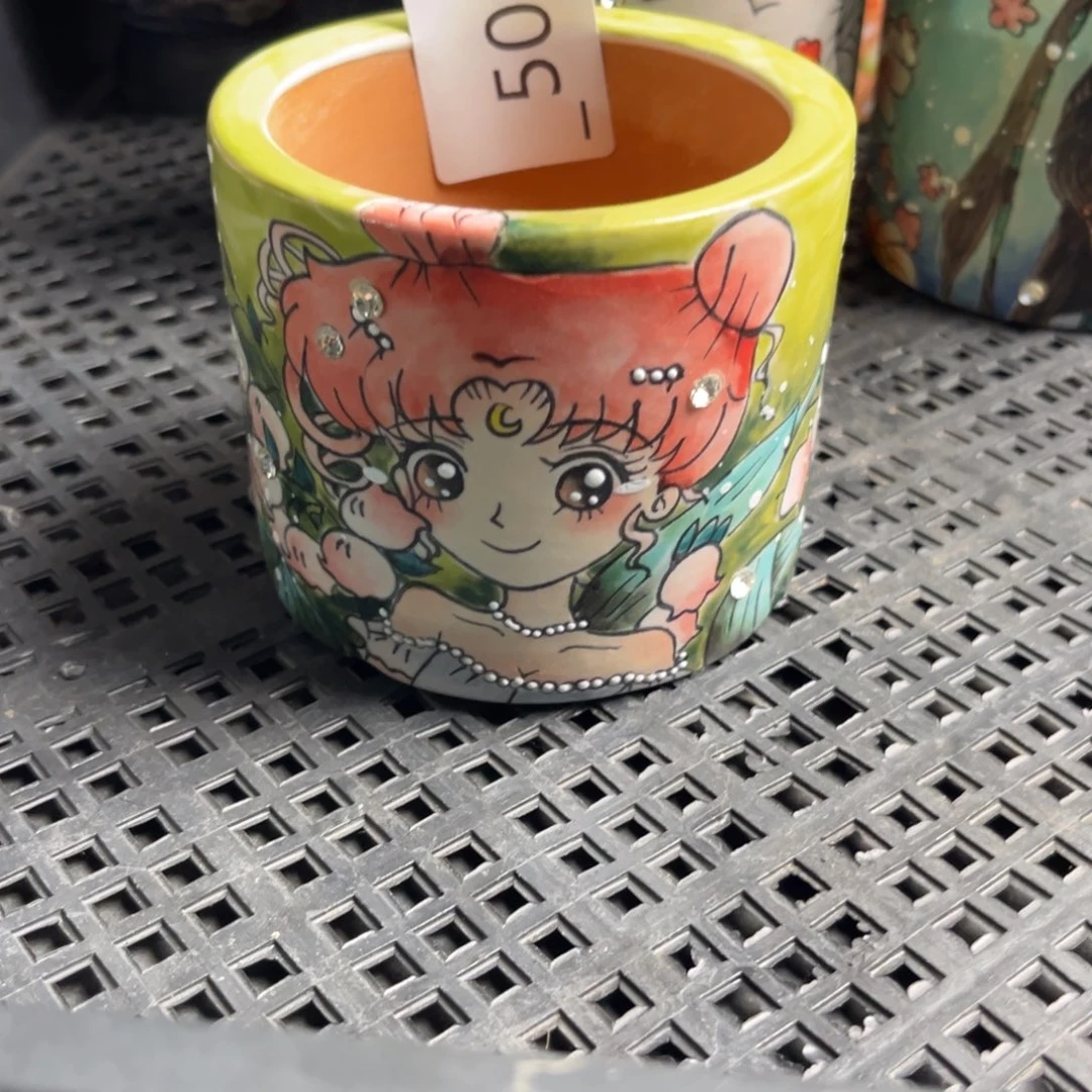 潇***瞳509多肉花盆   1个
