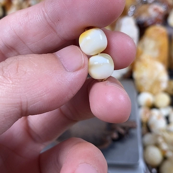 裸石琥珀未镶嵌我