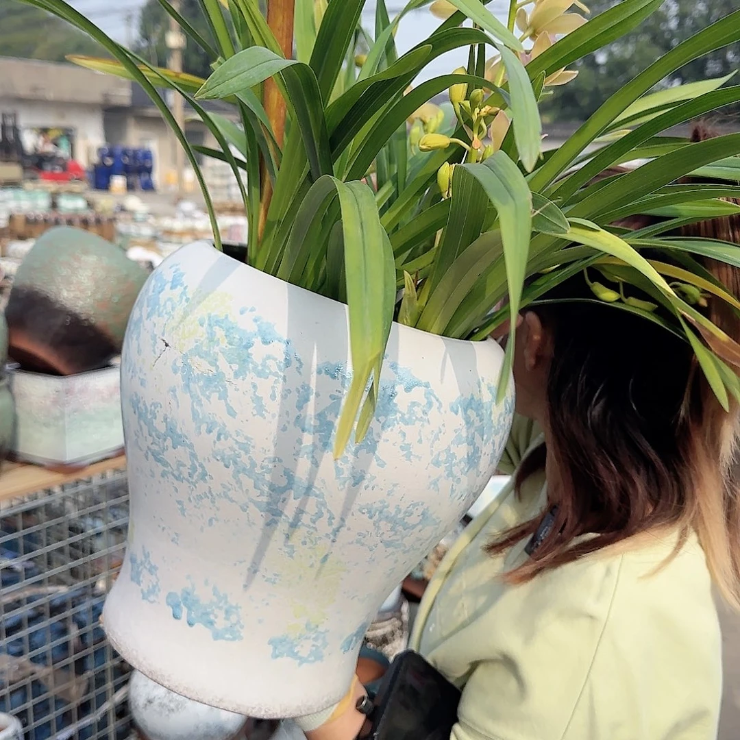 王嫂花盆1101-455高30口24