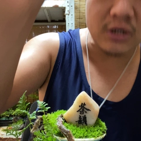 红陶一物一拍所见即所得114