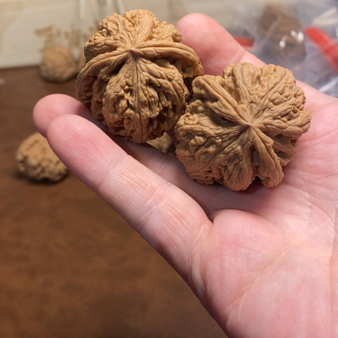 B***i手串金刚菩提粗筋
