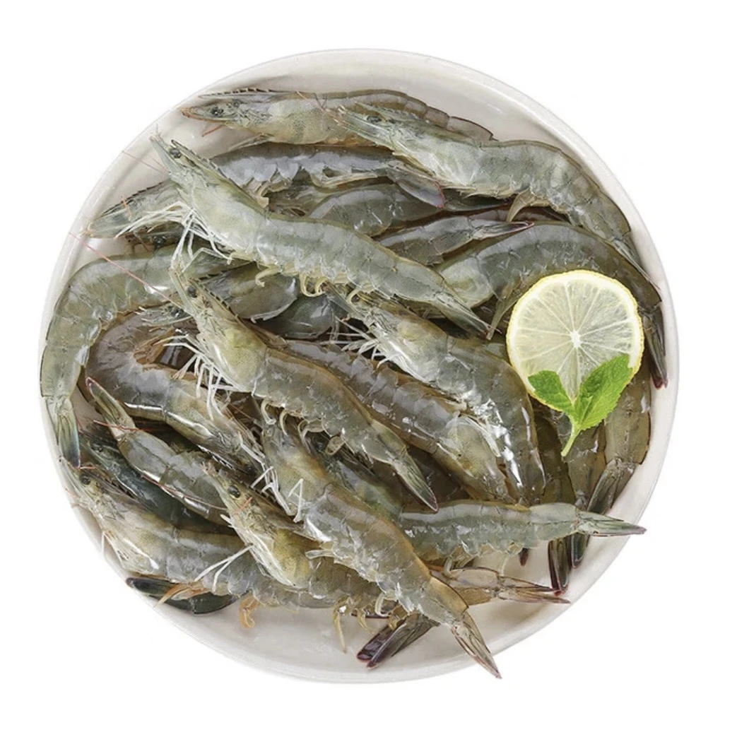鲜活海白虾大个头 2斤装