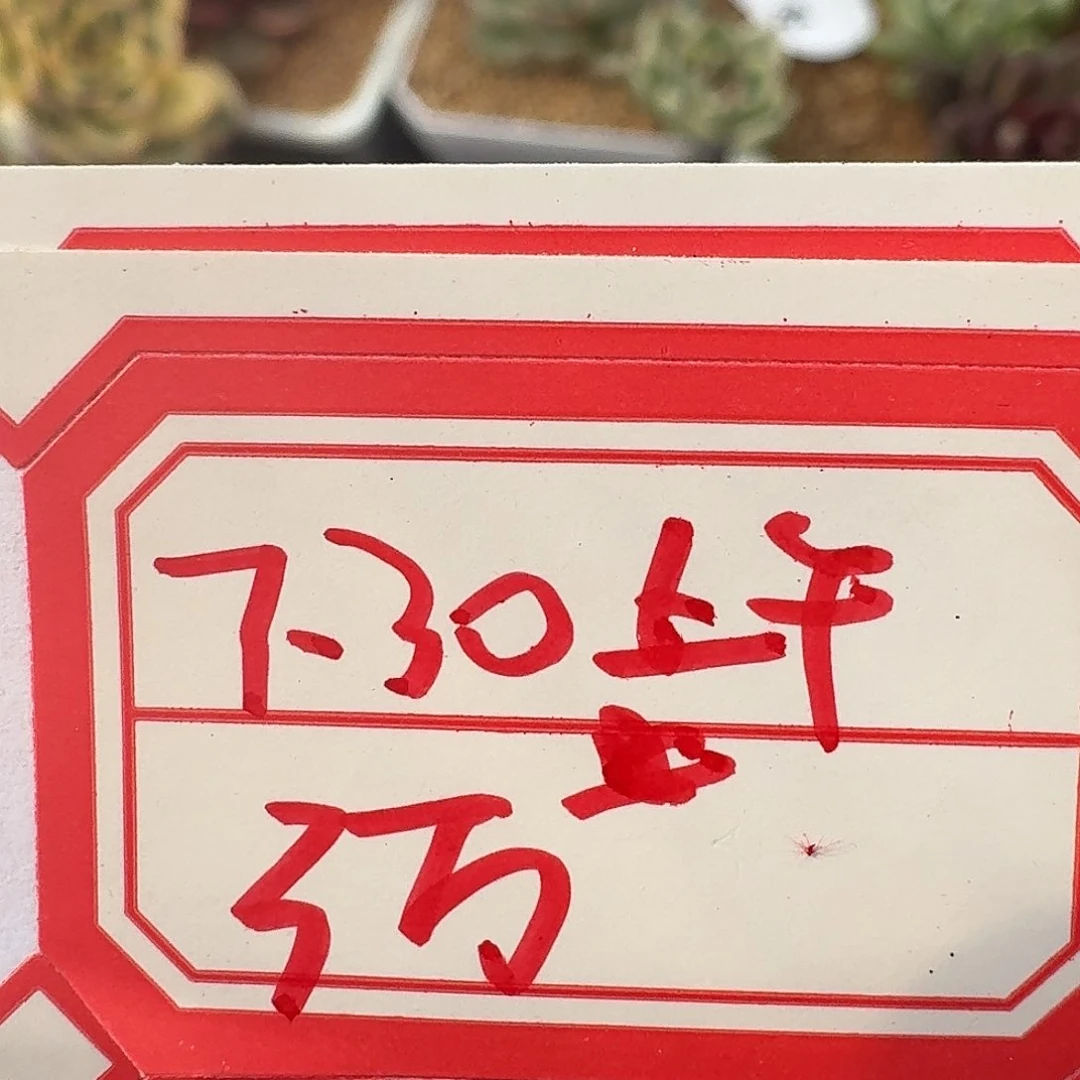 7.30上午三万赞福利