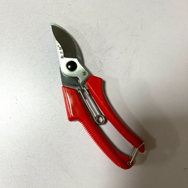 直播间红色果树剪有瑕疵不影响使用