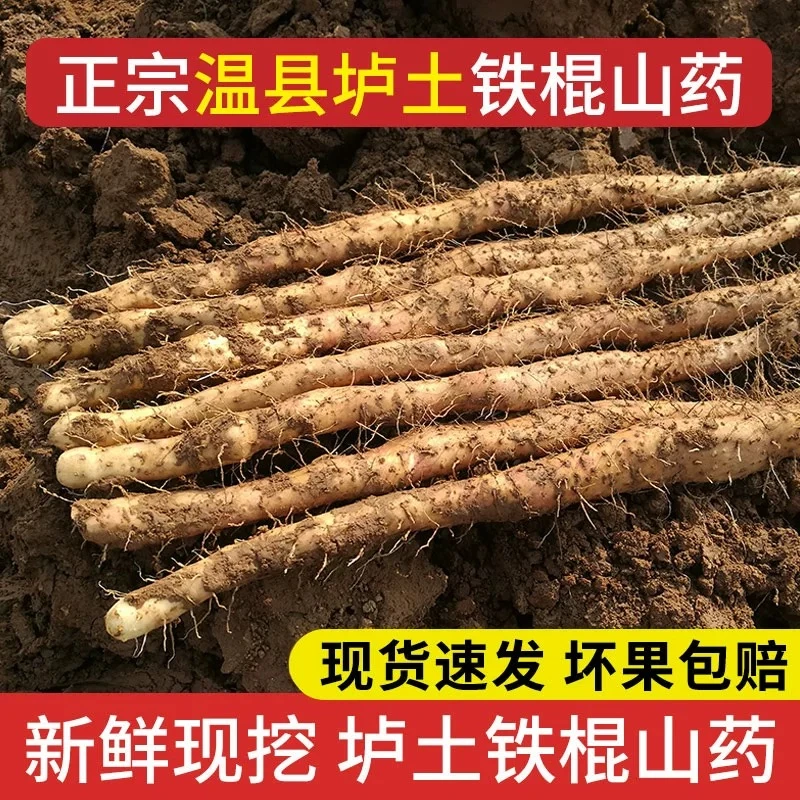焦作温县原产地新鲜现挖垆土铁棍怀山药软糯香甜营养丰富