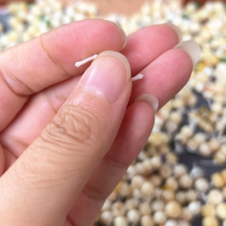 裸石蜜蜡未镶嵌6.1mm一对