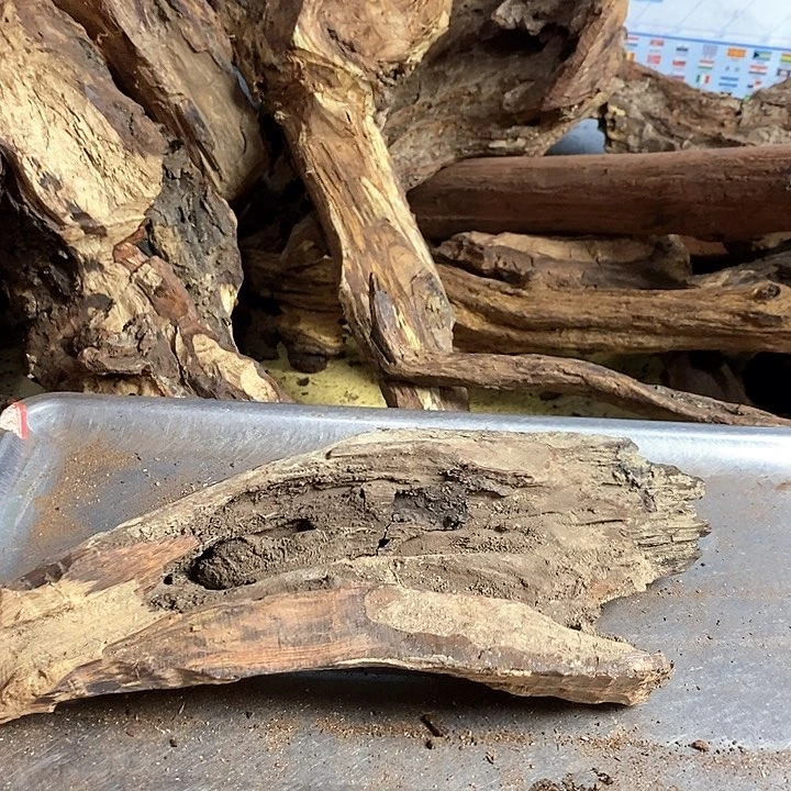 花梨木类艺****艺海南省