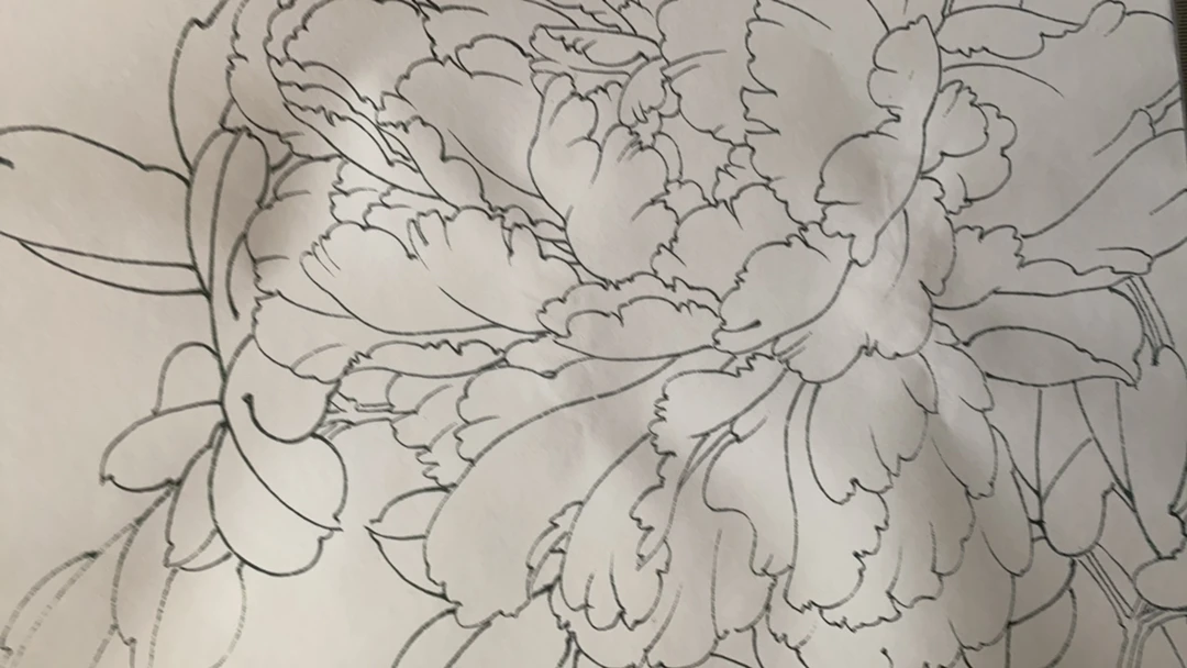 白描底稿和彩图专拍