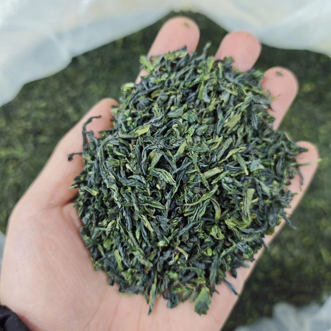 【洞三大碎】2025新茶高端瓜片核心产区手工高山绿茶大碎