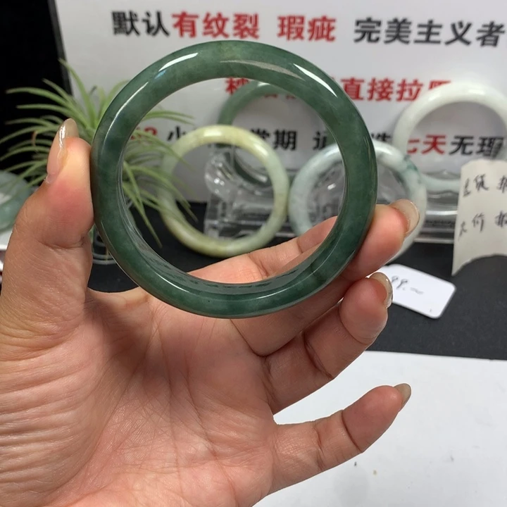 未镶嵌手镯翡翠27