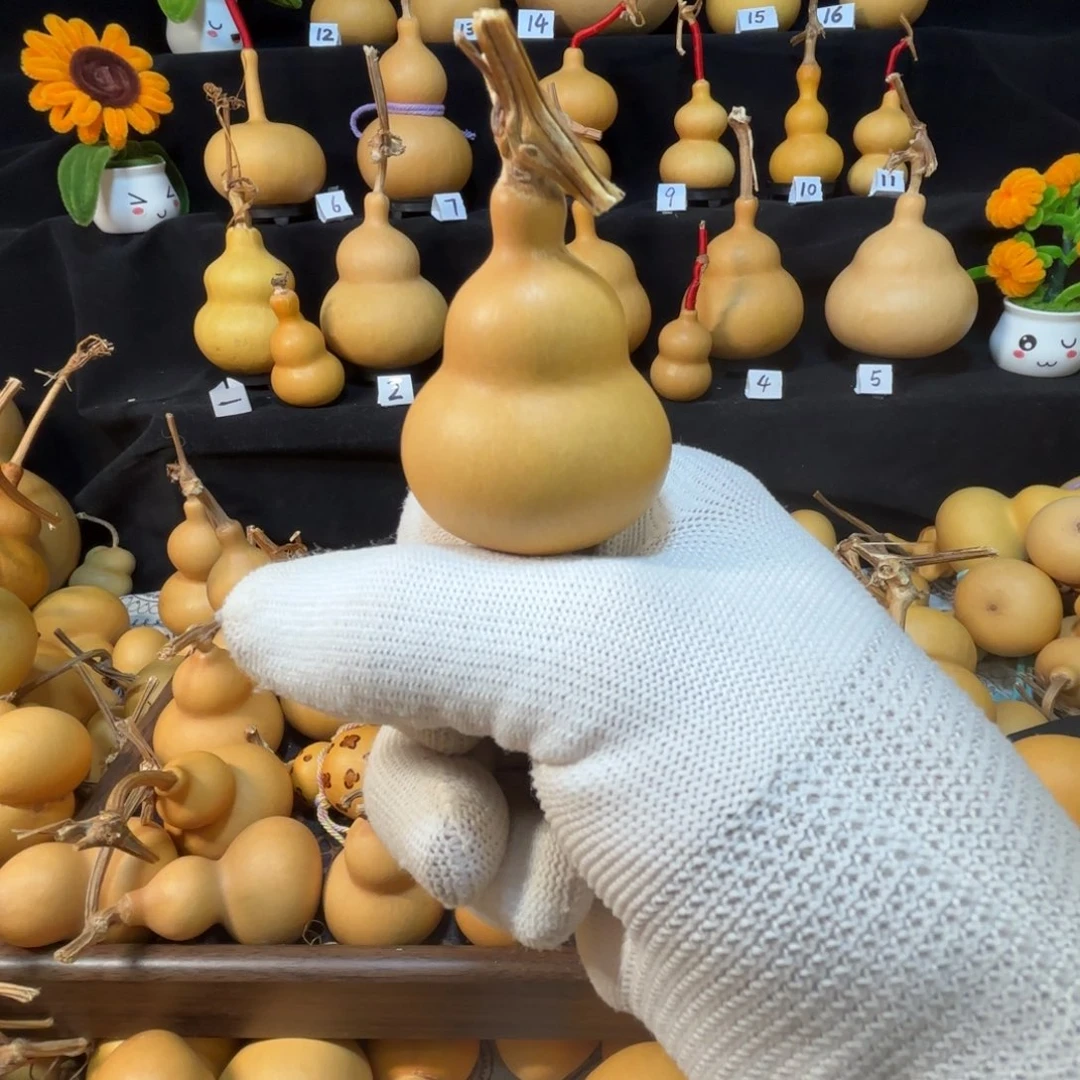 葫芦感谢支持信任