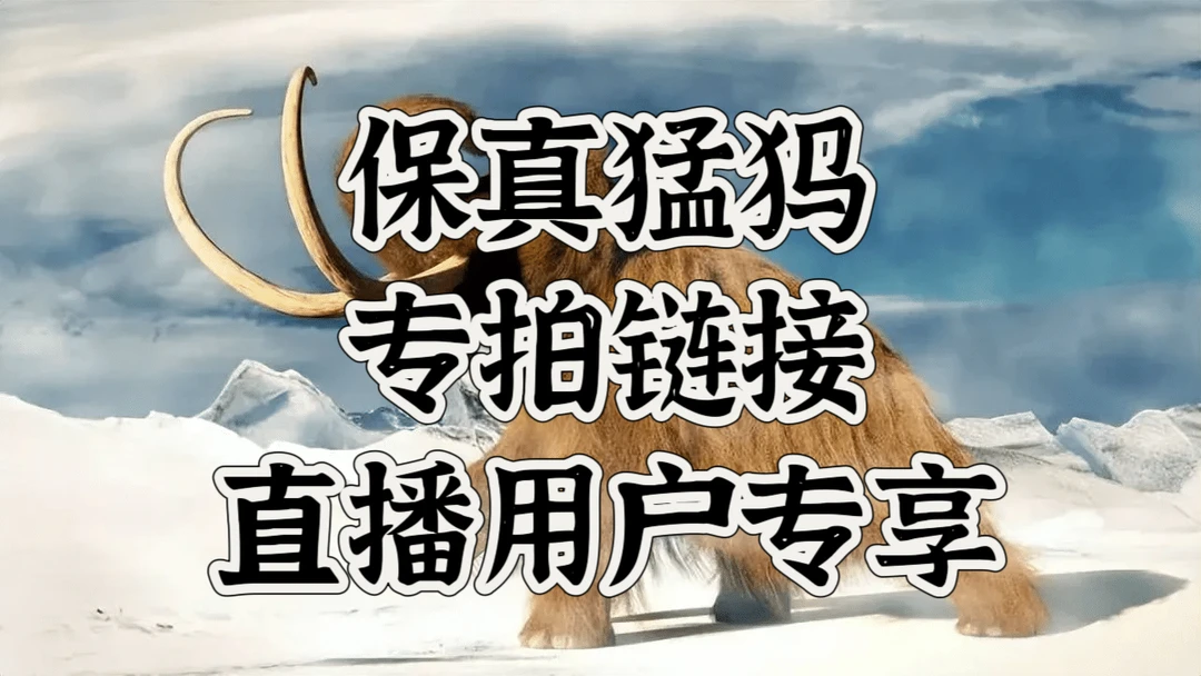 Z123 保真猛犸牙冰料 请勿私拍 拍下备注配饰或牌子或手串